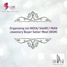 2nd India SAARC-ME Buyer Seller Meet at Delhi